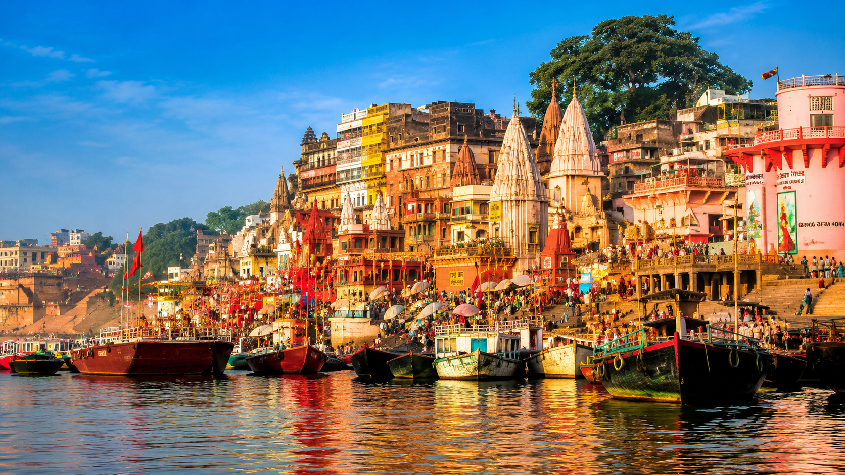 Kashi