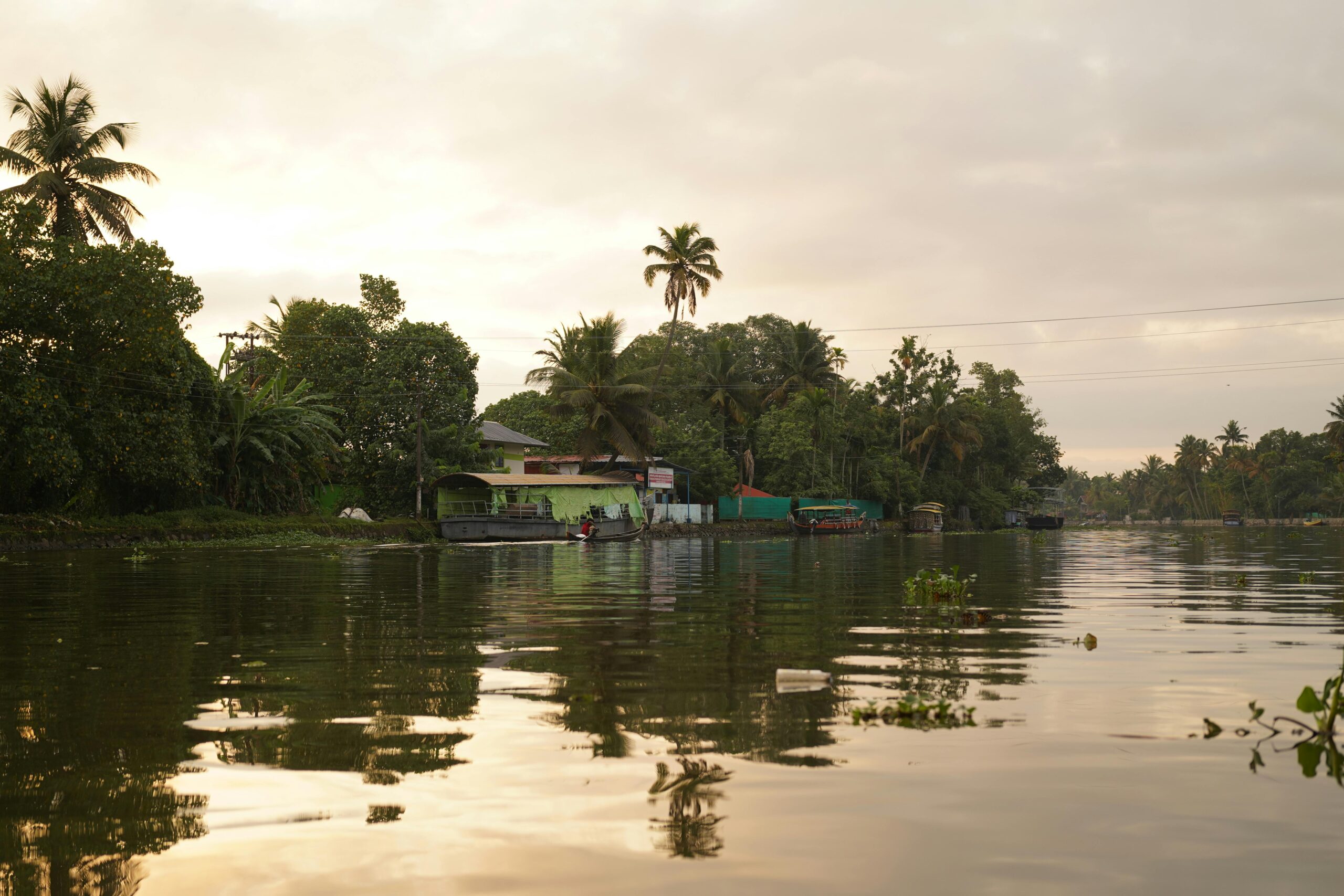 Scenic view of the Alappuzha backwaters at sunset with lush greenery and tranquil water reflections.